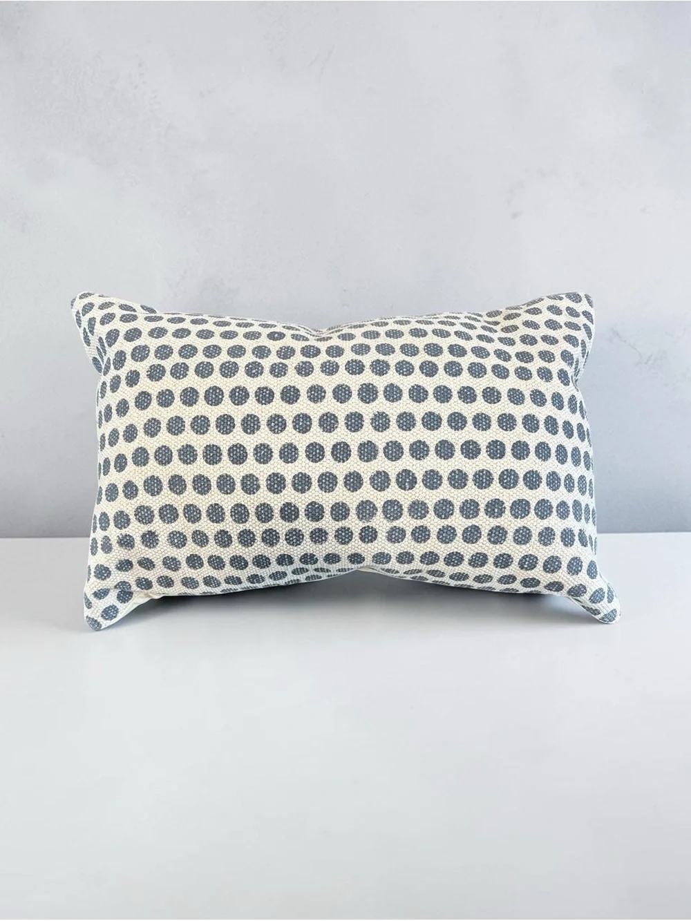 NWT Janya Polka Dot Decorative Pillow - Navy and Cream